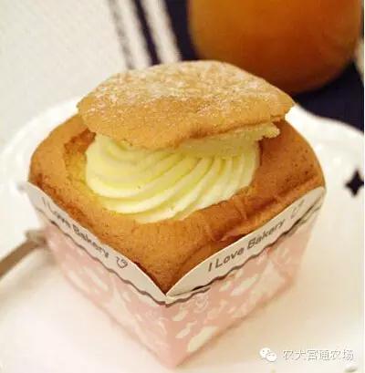 最新冒险者酱官方正式版下载方法一网打尽