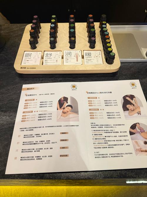 水疗中心游戏介绍 新手必看的SPA经营攻略指南