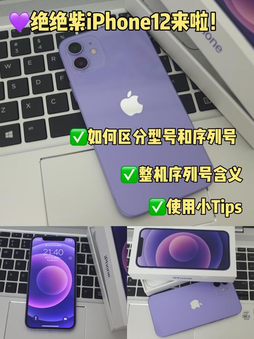 涩点点最新版本是多少 官方正版下载渠道推荐