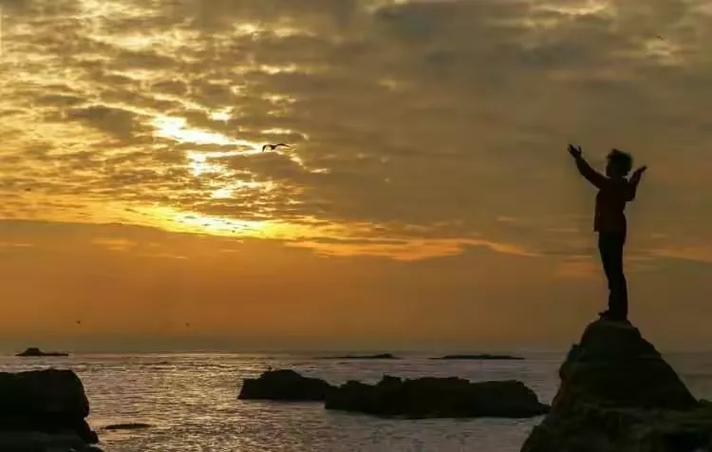 海岛女精灵最新预告片 抢先看下一集内容