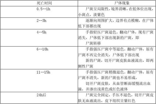 屍官方正式版下载最新版 完整资源一键安装教程