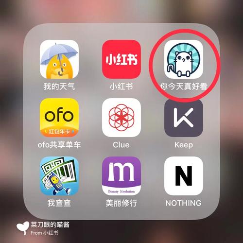 母上攻略旧版合集官方正式版下载最新版快速获取方法