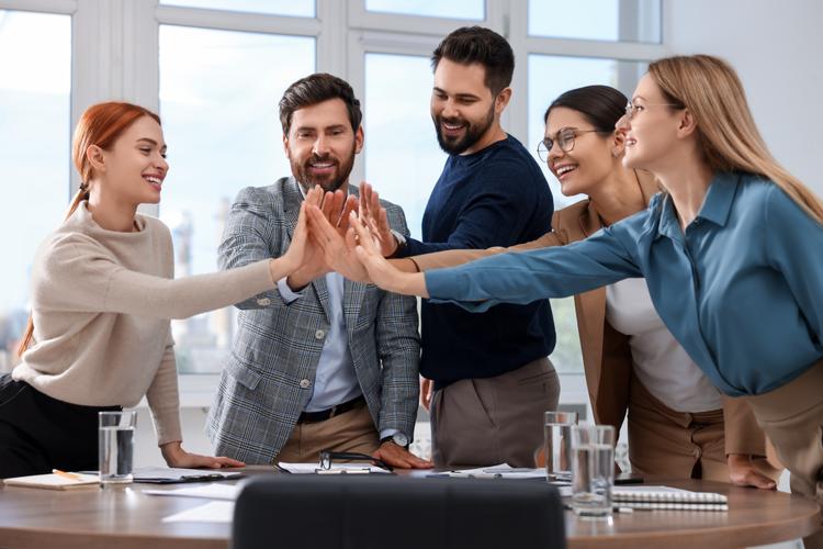 职场是我的后宫官网带你轻松应对职场挑战