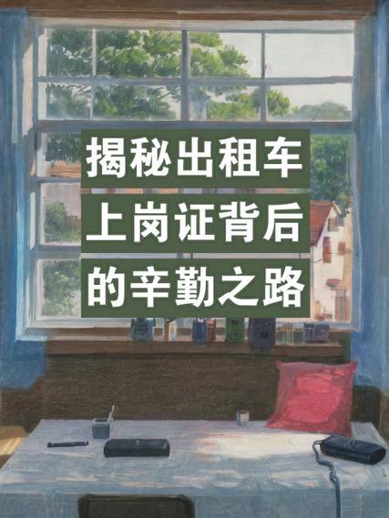 成为出租车司机最新版本全攻略轻松上岗