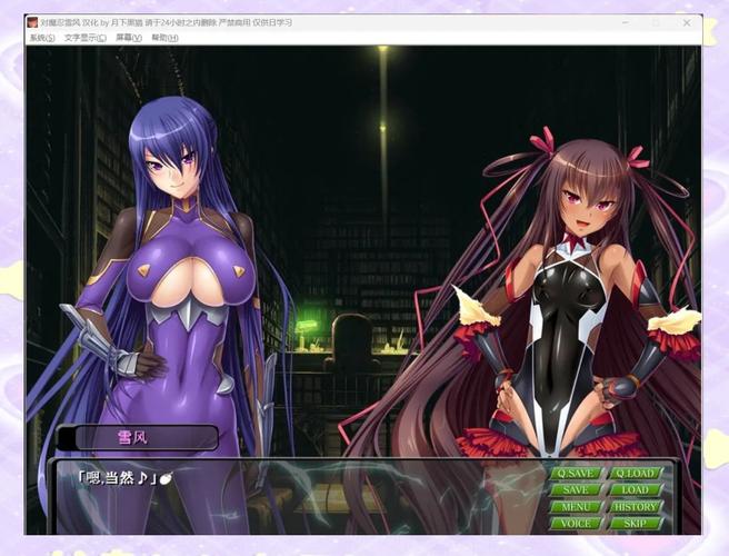 对魔忍雪风安卓汉化资源分享 最新中文版获取