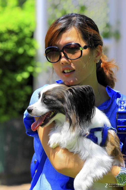 安卓用户必备 人狗情未了高清下载链接