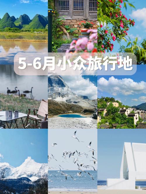 谜月旅途更新地址有变动 速速获取新入口