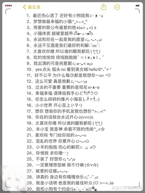 梦想版本大全热辣可爱 新手必看入门指南