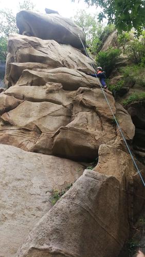 精灵谷安卓汉化方法大全 总有一种适合你