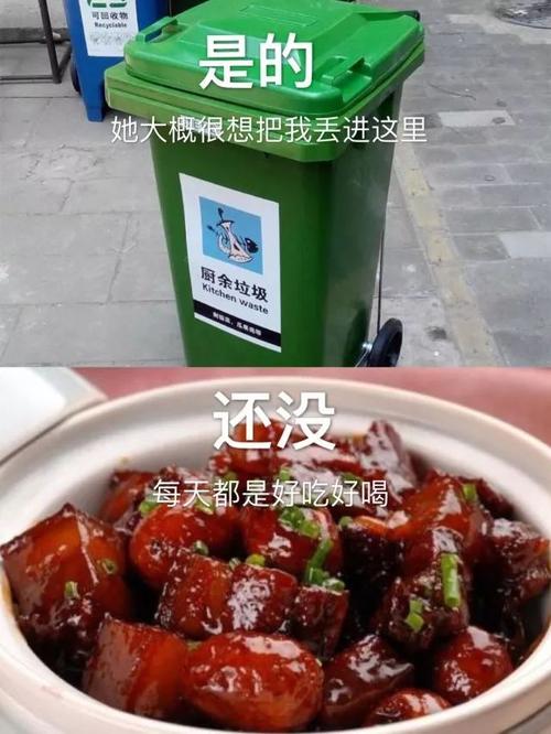 母上攻略旧版合集官方网站攻略技巧全解析