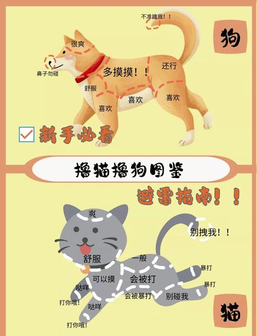 脆弱的女性游戏下载教程 新手必看简单三步搞定