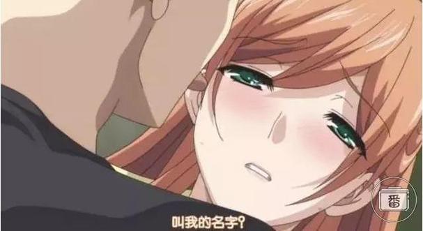 安娜激动人心的感情最新版本观众评价如何