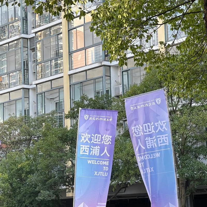 新生活计划下载地址分享 轻松获取最新版本