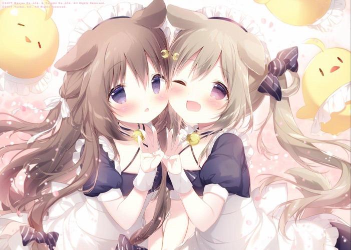 莉可的不可思议差事安卓常见问题解决方法