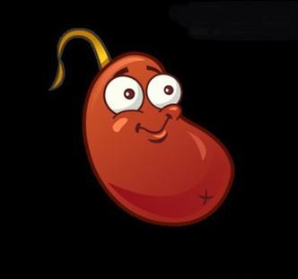 黄道幻想2官方正式版下载最新版体验评测