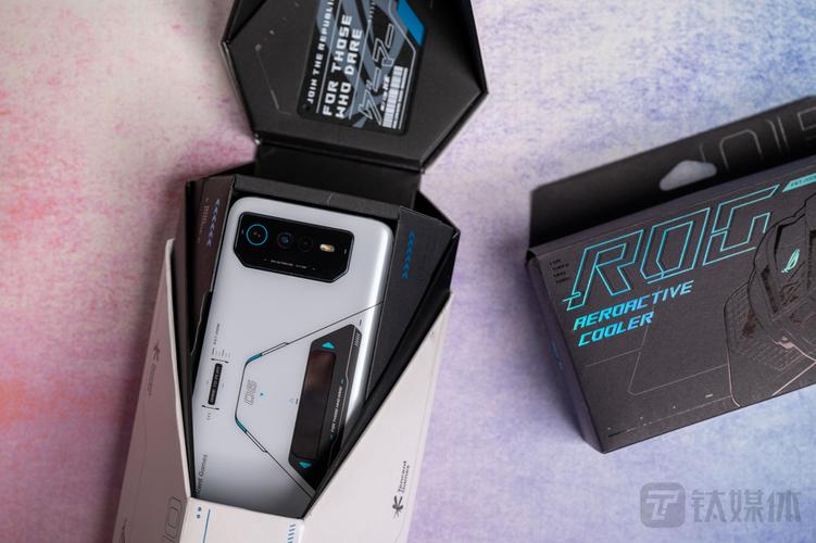 绝顶神乐游戏下载体验 玩家真实评测与安装技巧