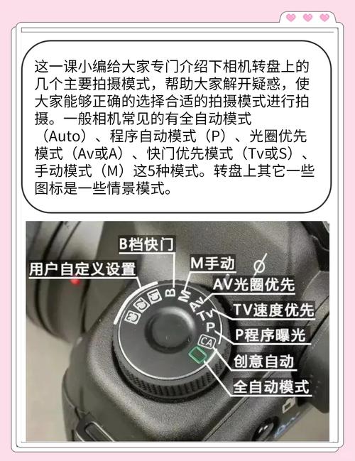 导演请拍摄各种各样的我下载方法详解