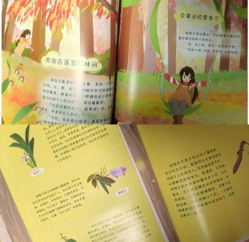 精灵谷游戏介绍 带你探索奇幻冒险世界