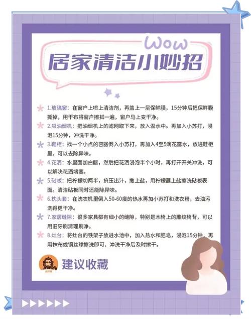 家庭事务官网教你轻松打理家务活