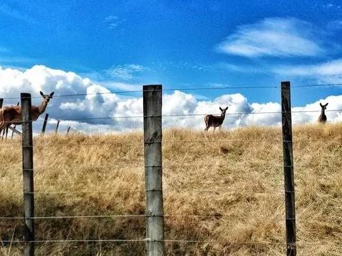 雪山别墅和三个女孩的做爱假期汉化版最新更新内容