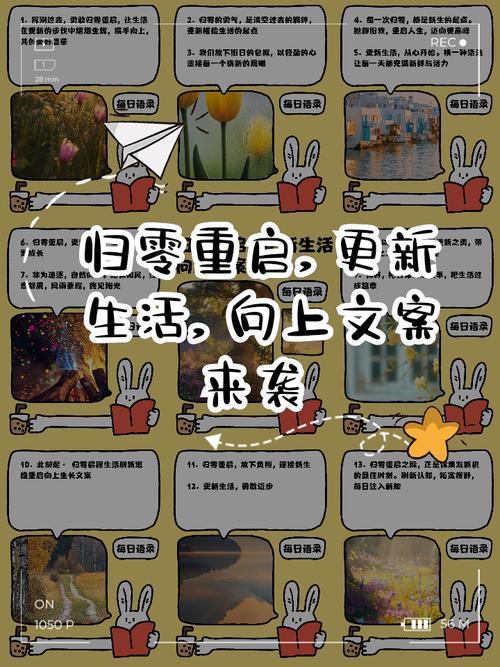 新生活计划版本大全 从入门到精通的生活指南