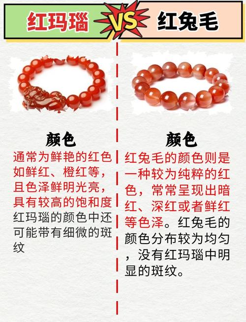 真红玛瑙安卓与其他版本对比分析