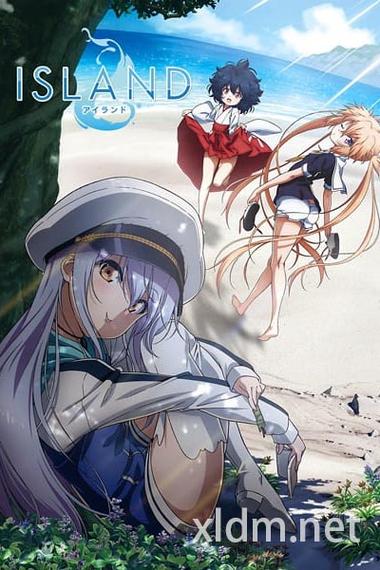 欢迎来到后宫岛最新版本常见问题解答