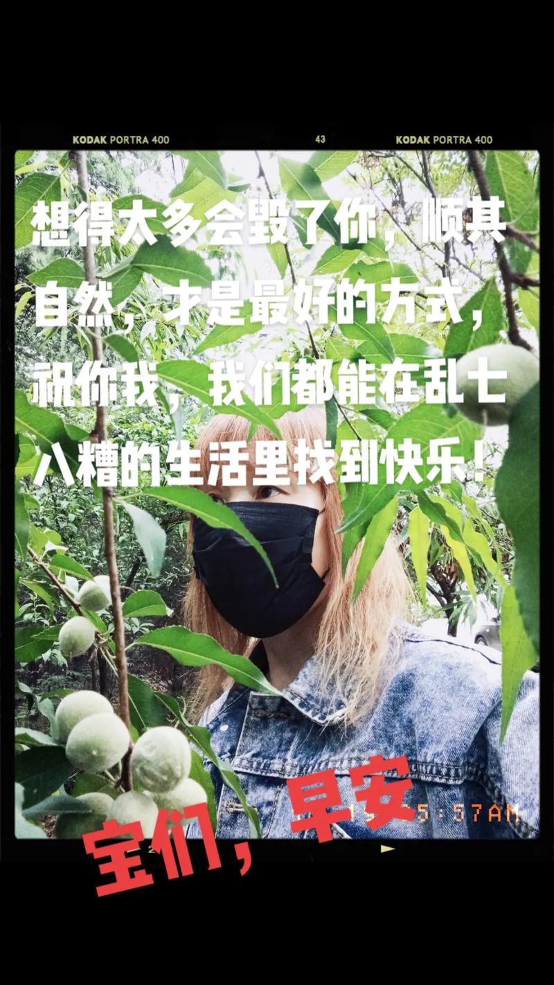 寻找更好还是更糟下载地址这里有最新资源