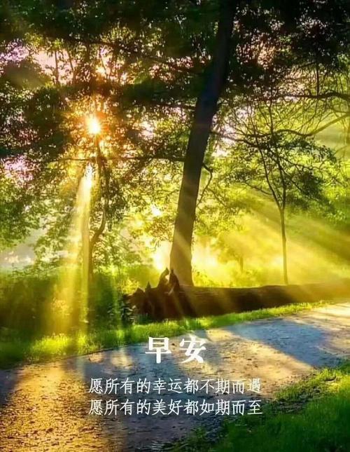 愉快的生活下载安卓版 轻松享受美好时光