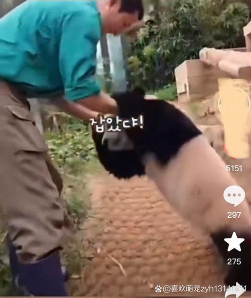 无知少女的乡村韵事版本大全完整故事在线阅读