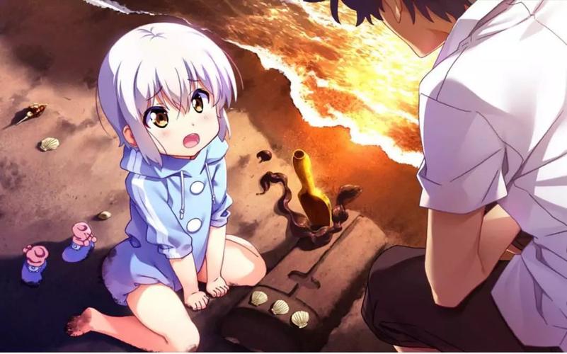 欢迎来到后宫岛最新版本常见问题解答