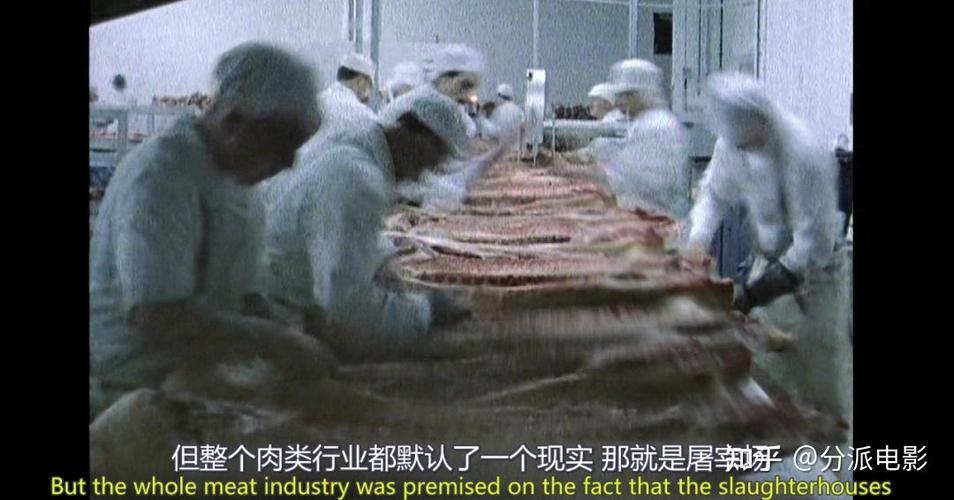 腐败的世界官方网站带你了解黑暗真相