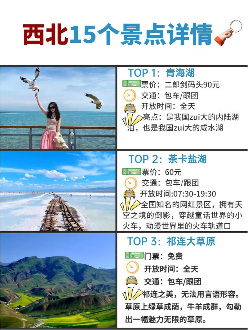 母上攻略旧版合集下载地址分享 完整资源一键获取