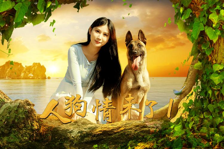 安卓用户必备 人狗情未了高清下载链接