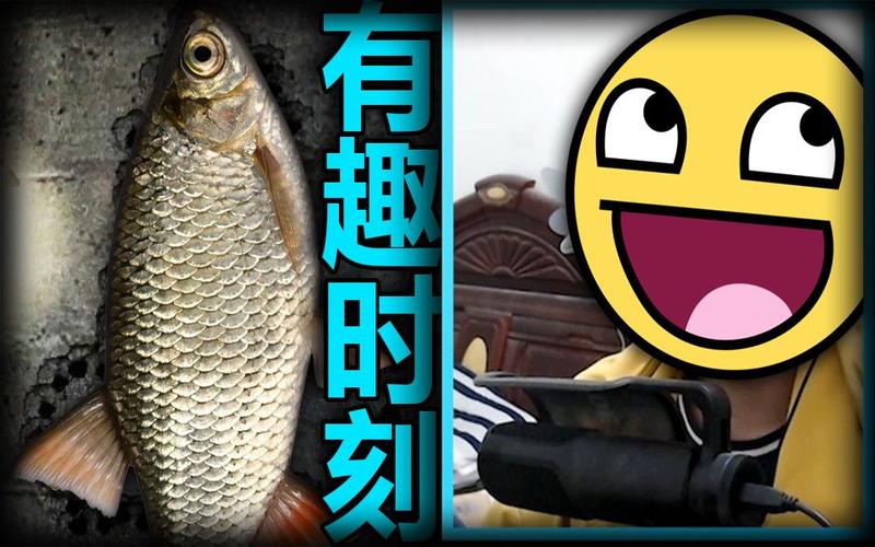 无知少女的乡村韵事官网精彩片段大合集