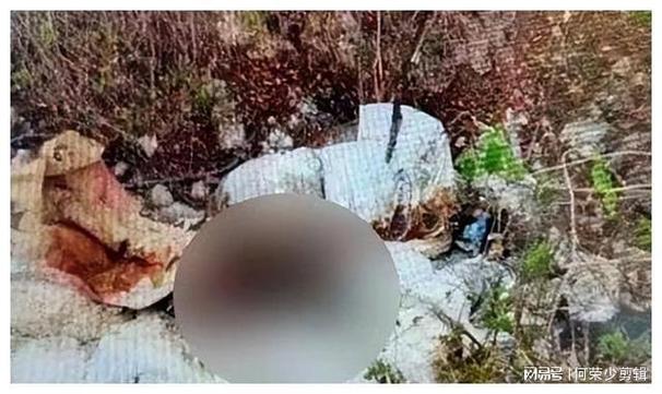 屍更新地址最新发布 快速获取最新访问链接