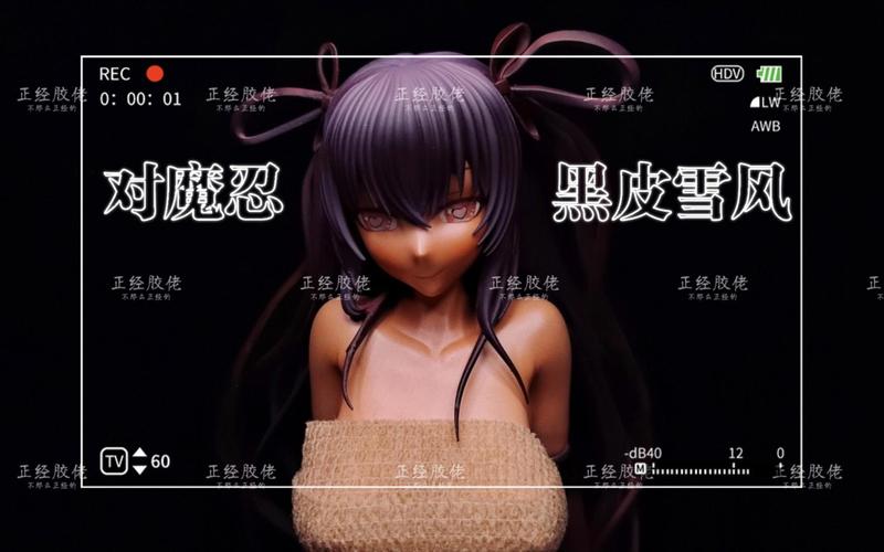 对魔忍雪风安卓汉化资源分享 最新中文版获取