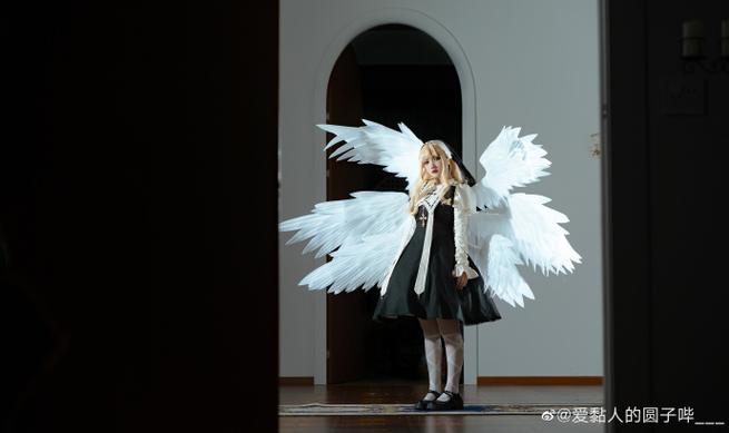 维罗达修女最新版本是多少 版本更新内容一览