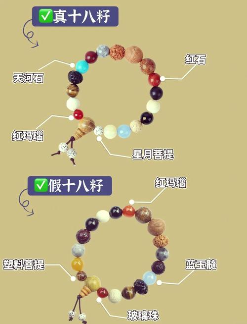 真红玛瑙安卓与其他版本对比分析