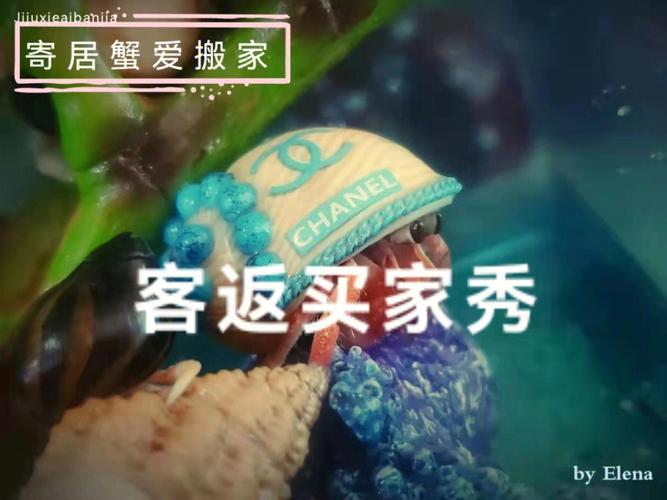 志愿少女最新行程安排 看看她们接下来忙什么