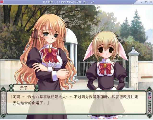 被恶霸们侵犯的姐姐游戏下载中文版剧情解析