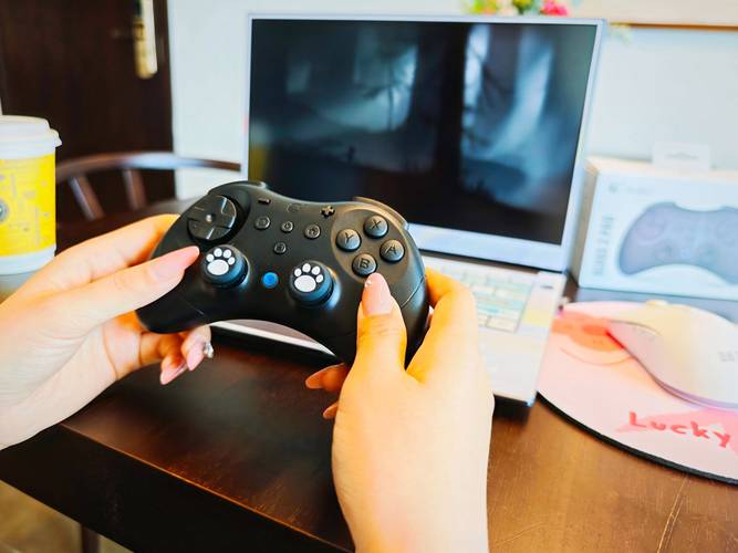 精灵谷安卓手机配置要求 看看你的设备能玩吗