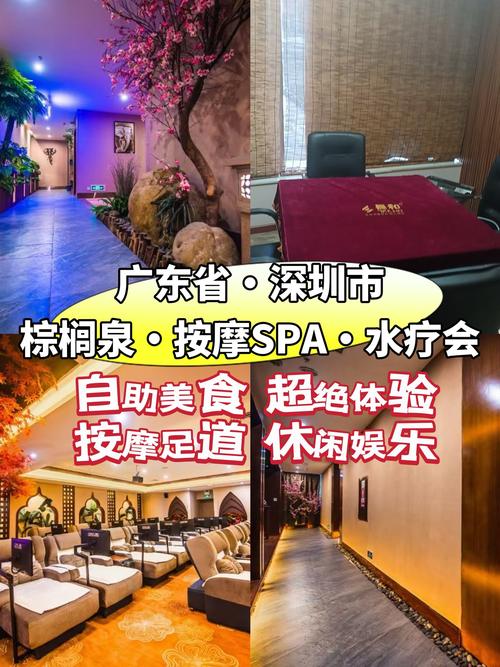 热门水疗中心游戏下载 解压必备休闲选择