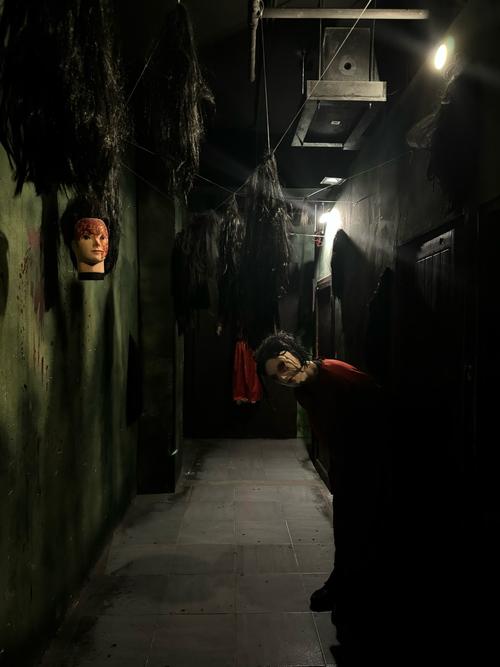 屋内有鬼更新地址大全 最新资源一键直达