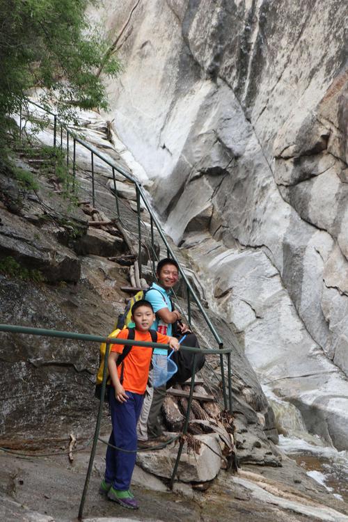 精灵谷安卓手机配置要求 看看你的设备能玩吗