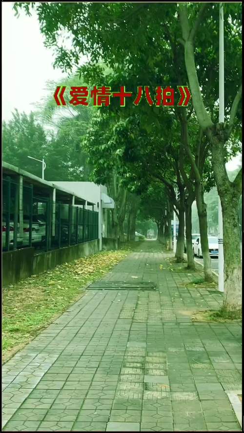 爱相思最新版本是多少 安卓苹果最新版对比