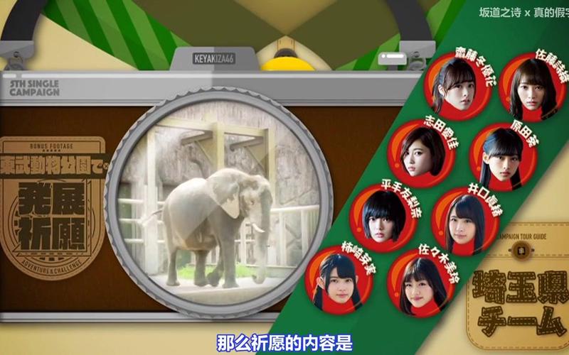 祈愿之旅安卓卡顿怎么办 流畅运行解决方法