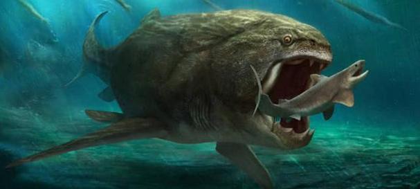 杀手的神话版本大全 那些让人胆寒的杀手传说