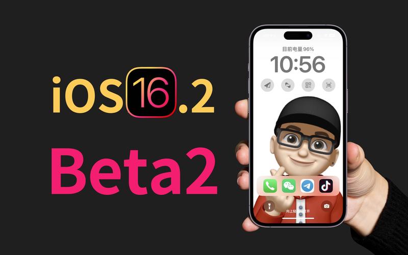 母上攻略1重置版游戏官网常见问题解答与BUG修复