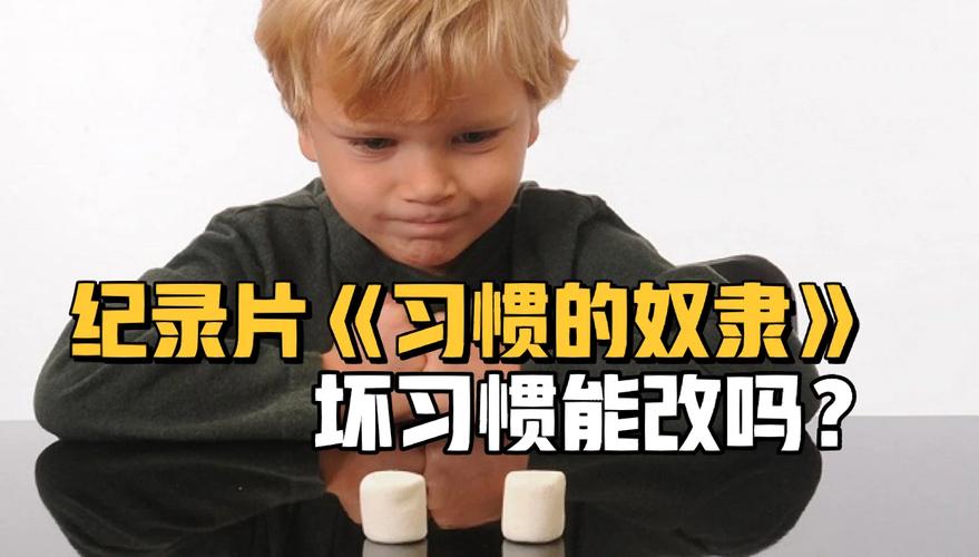 罗马的奴隶官方正式版下载最新版安装教程分享